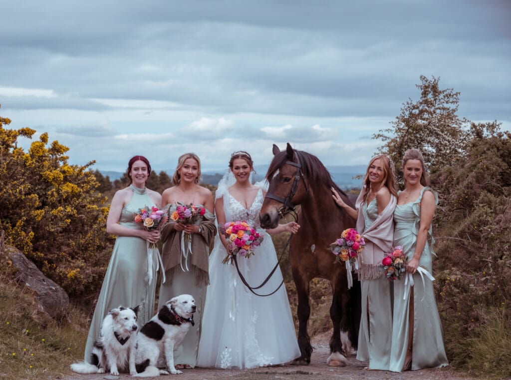 bride and bridesmaid with horse and dogs on wedding day