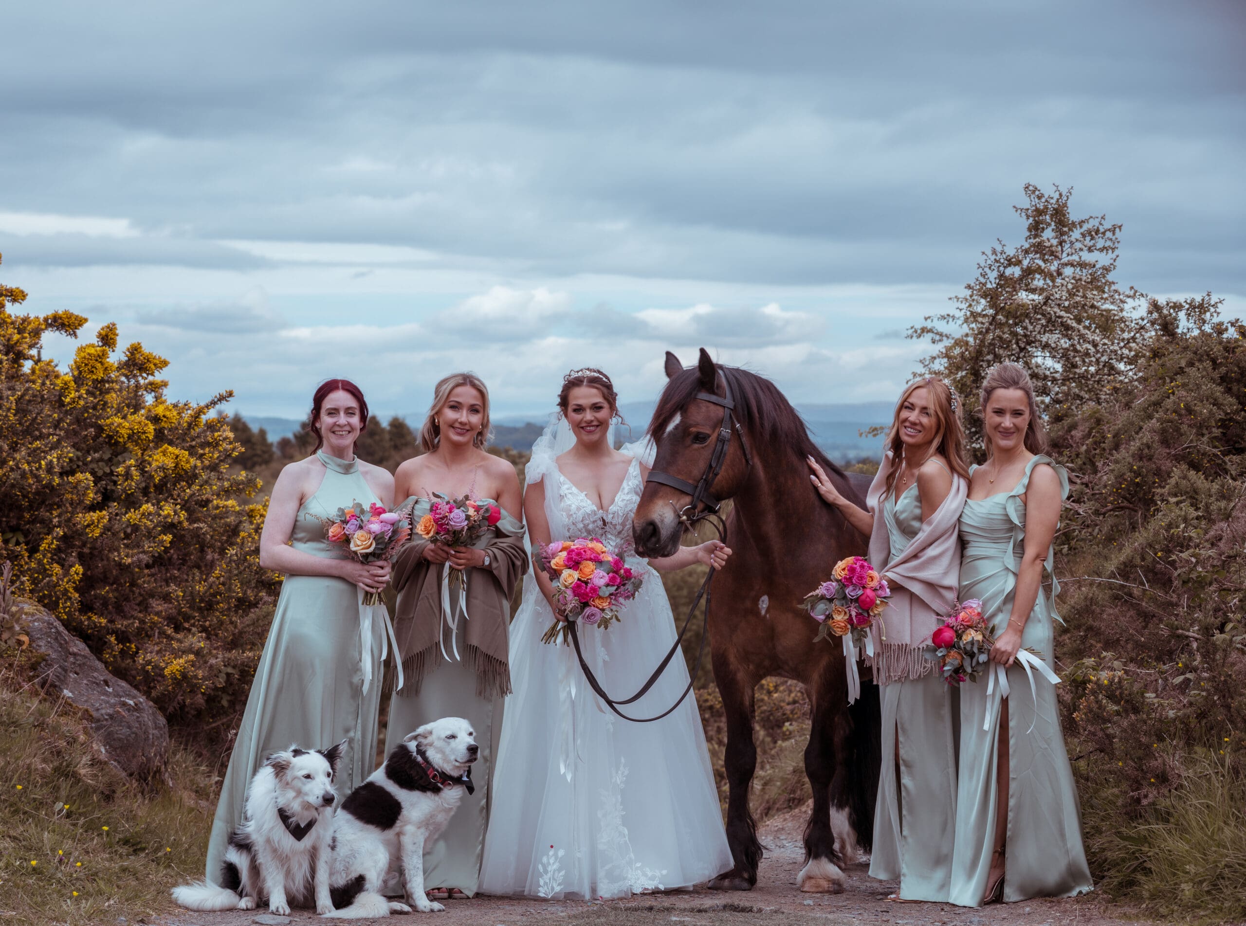 bride and bridesmaid with horse and dogs